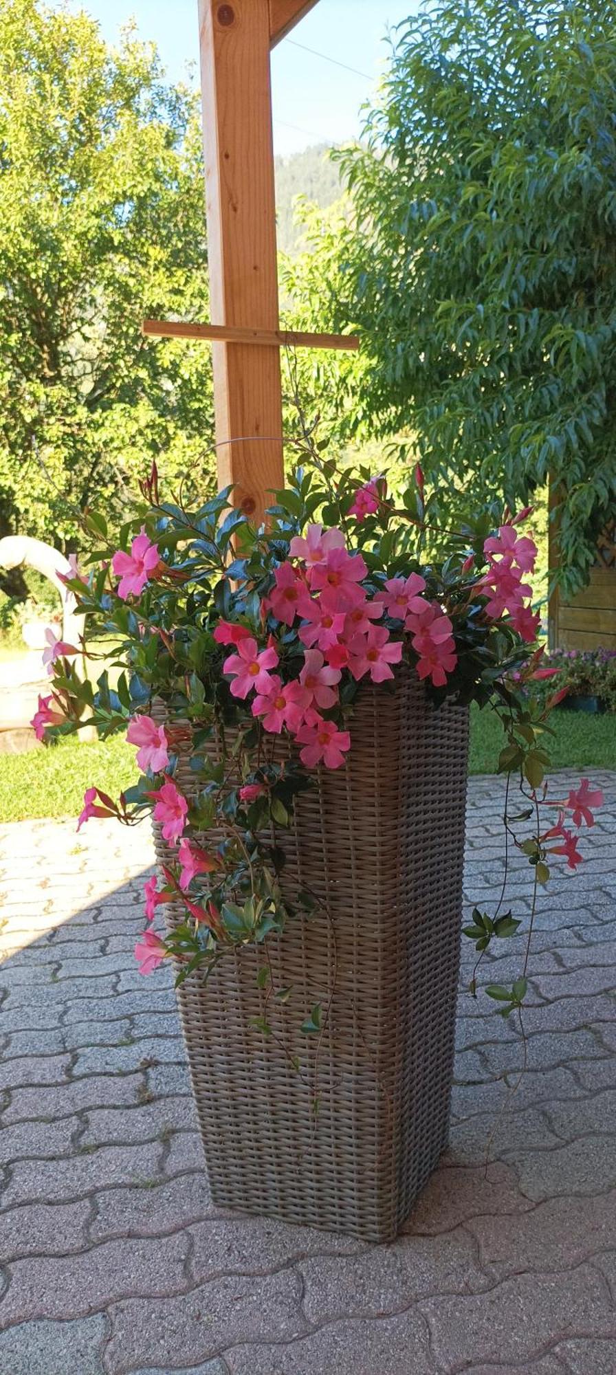 Apartment Relax Natura Canal San Bovo Εξωτερικό φωτογραφία